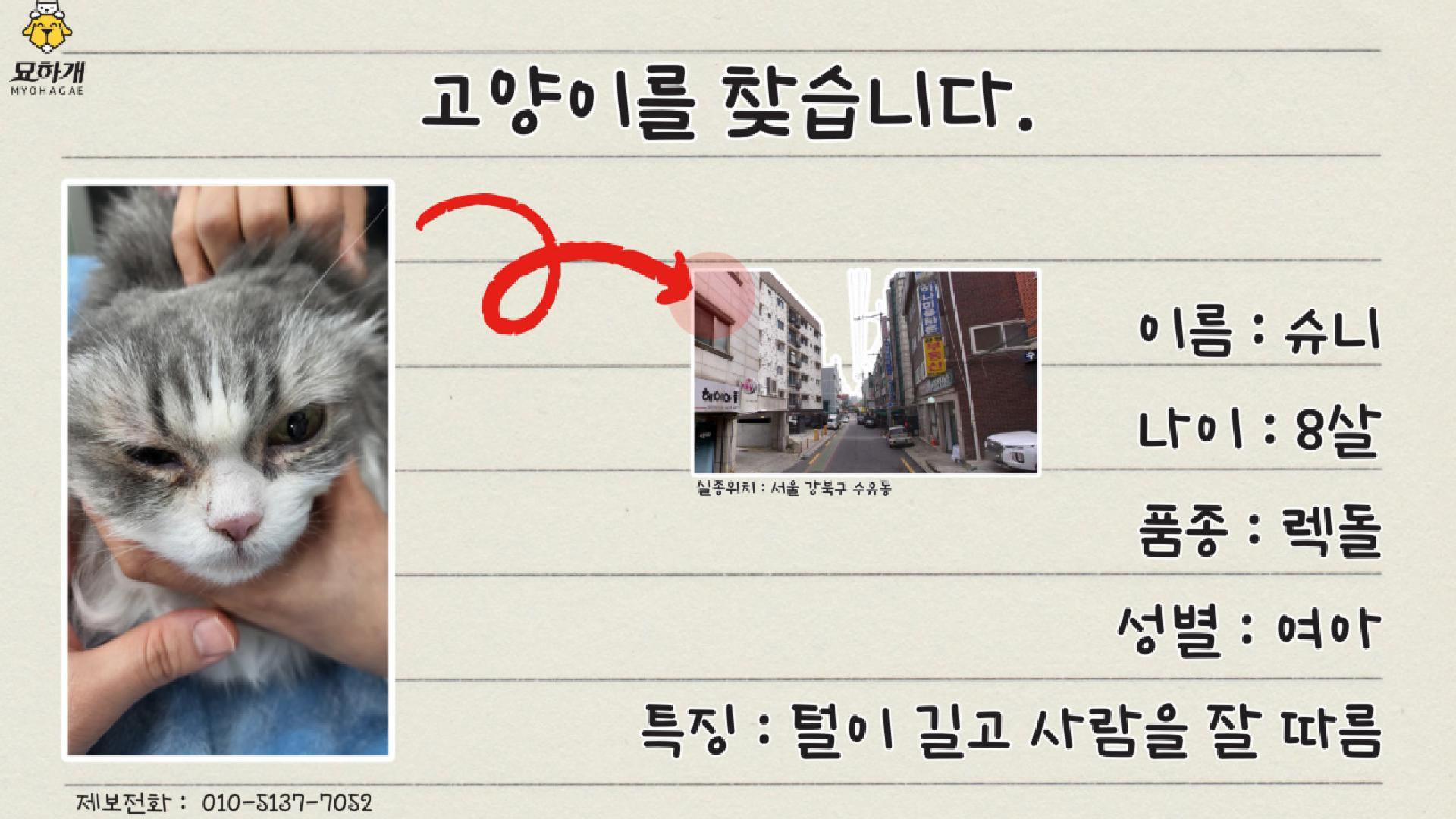 실종동물찾기