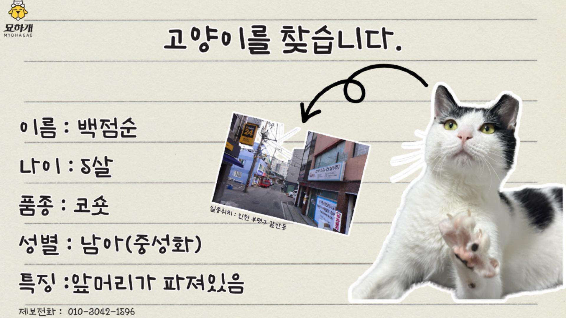 실종동물 구조