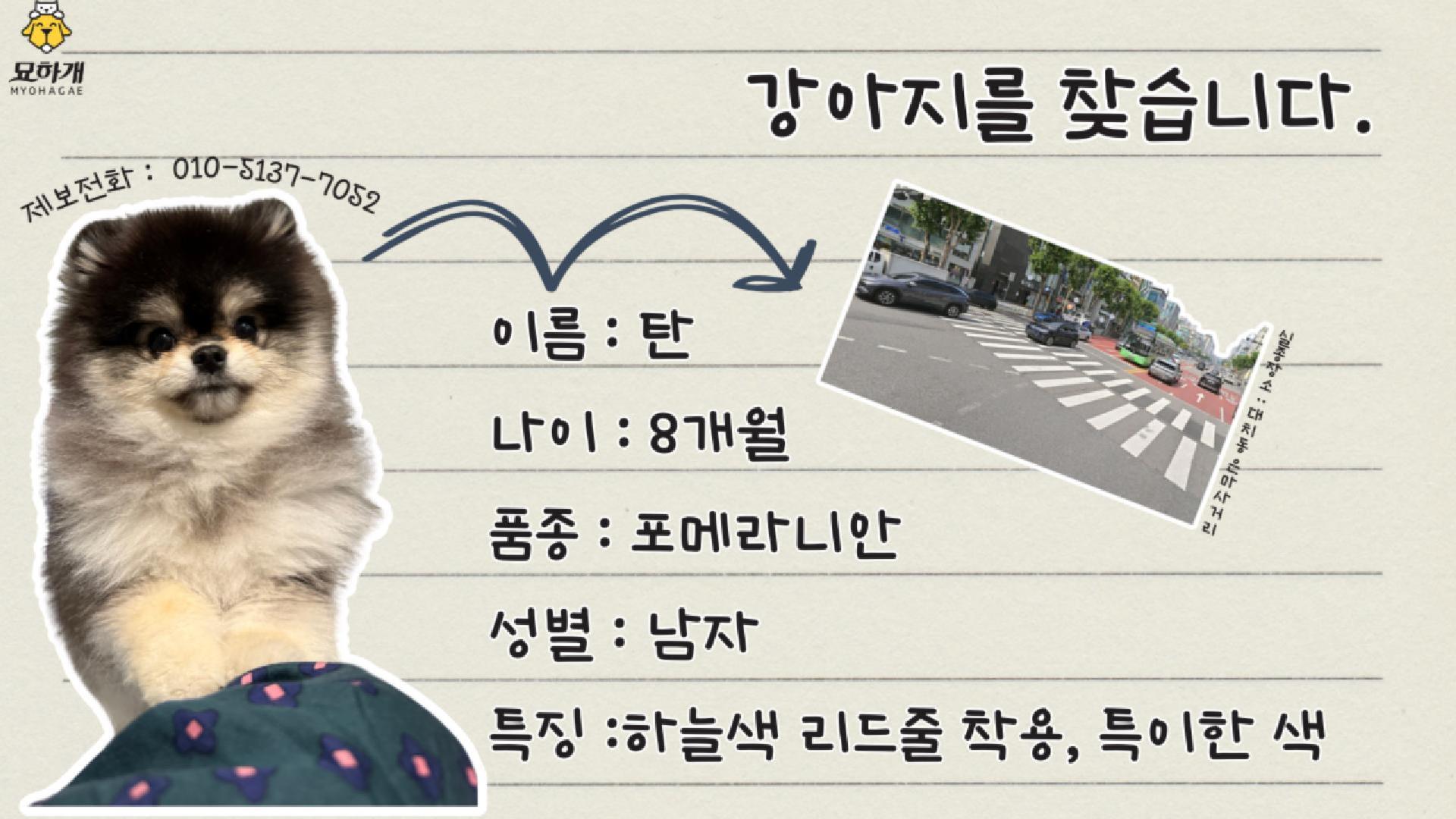 실종동물 영상 제작